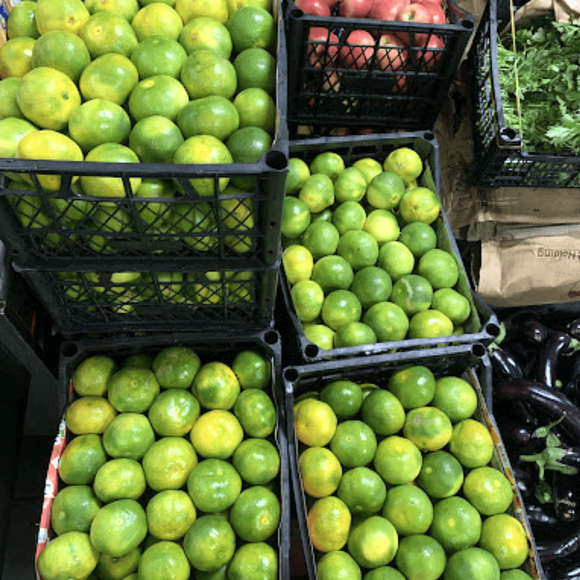 Mansur%20Catering%20kurumsal%20yemek%20hizmetleri